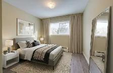 FULLY RENOVATED 2BR – ALL UTILITIES INCLUDED   1 MONTH FREE! - Photo 4