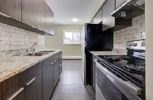 FULLY RENOVATED 2BR – ALL UTILITIES INCLUDED   1 MONTH FREE! - Photo 5