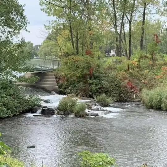 Furnished room in LASALLE all included wifi laundry mini fridge - Photo 4