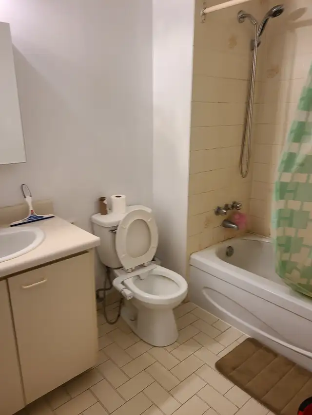 Un très grand 4 1/2 disponible à DDO - Photo 8