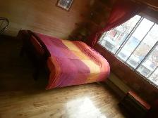 Quiet & Clean studio in Plateau Mont-Royal - Photo 3