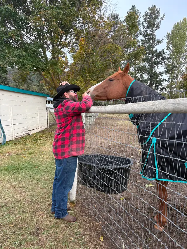 9y OTTB Mare - Photo 2