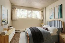 1 Bedroom Apartment Available near University of Calgary - Photo 4