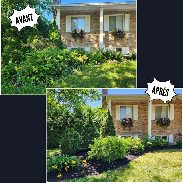 Services entretien paysager / Horticulture / Plates-bandes - Photo 4