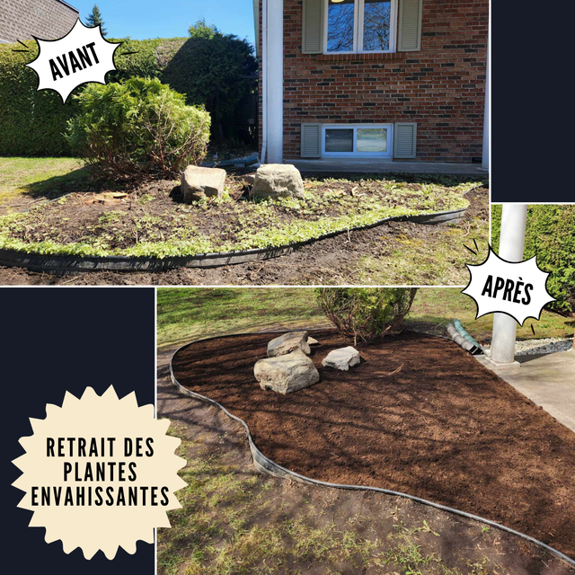 Services entretien paysager / Horticulture / Plates-bandes - Photo 6