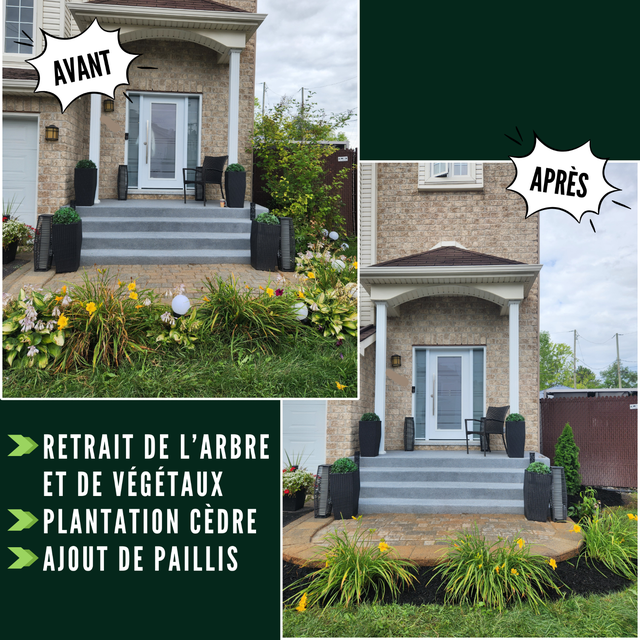 Services entretien paysager / Horticulture / Plates-bandes - Photo 7