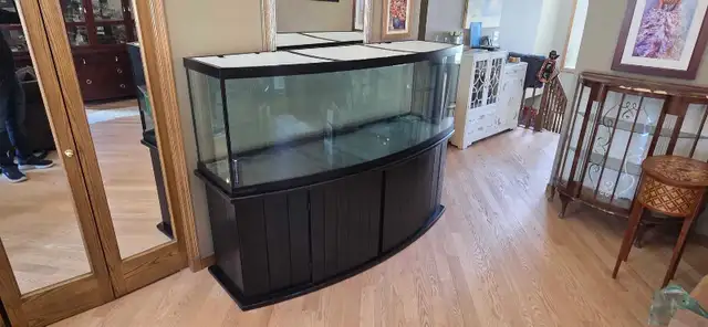 160 gal  / 600 litre aquarium
