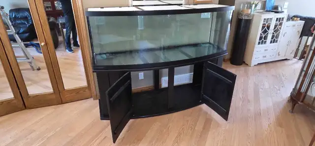 160 gal  / 600 litre aquarium - Photo 2