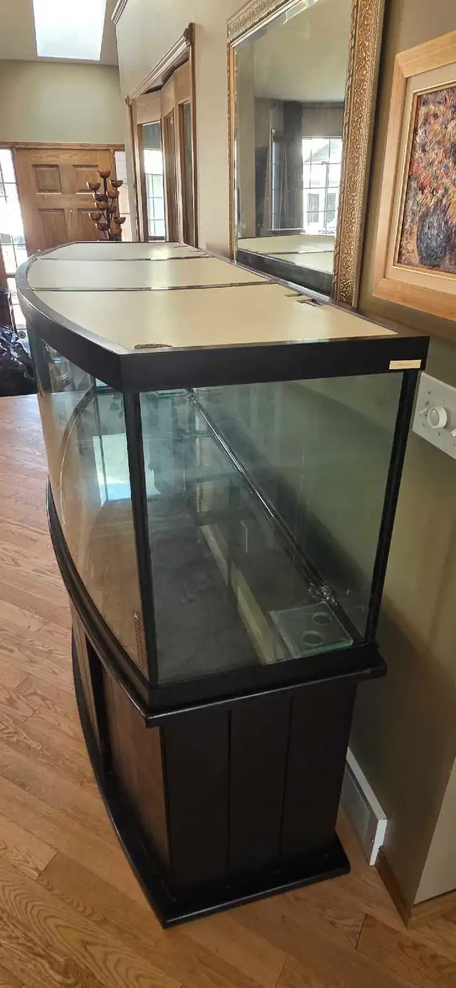 160 gal  / 600 litre aquarium - Photo 3
