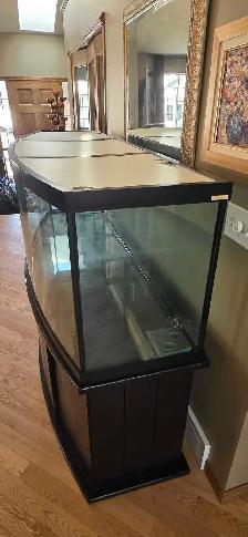 160 gal  / 600 litre aquarium - Photo 3