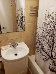 Bachelor Basement Apartment Warden and Eglinton - Photo 7