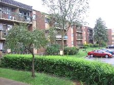 DDO - 514-683-6650  - 1 BDRM  & STUDIO - Photo 4