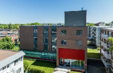 YORKVILLE GOLD 2 - NEW BLDG.