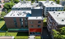 YORKVILLE GOLD 2 - NEW BLDG. - Photo 5