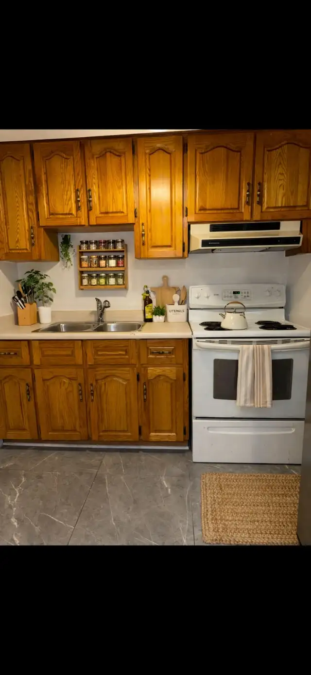 High Park Blvd-Roncesvalles Beautiful Spacious 1 Bdrm w/parking - Photo 4