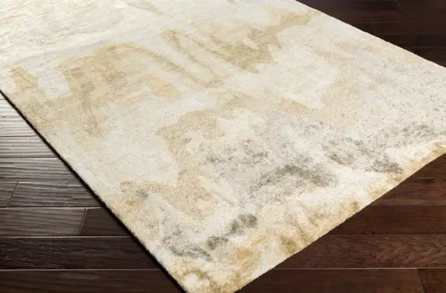 5’x3’ area rug - Photo 2