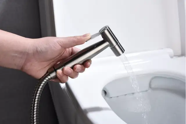 Toilets&Bidets Install