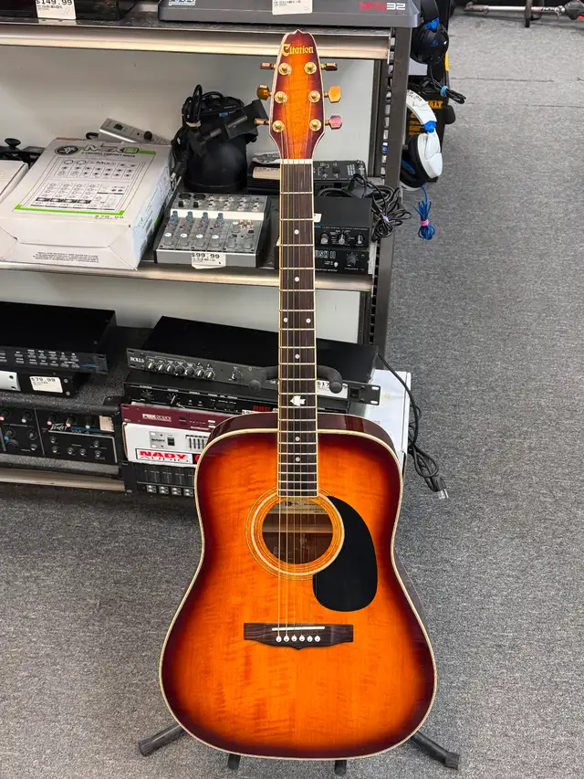 Citation 659 Acoustic Guitar