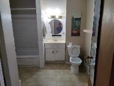 One bedroom apartment 16th Markham ALL INCLUSIVE - Photo 3