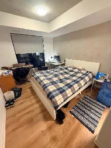 Beautiful Room for Rent near Queens University