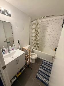 Beautiful Room for Rent near Queens University - Photo 2