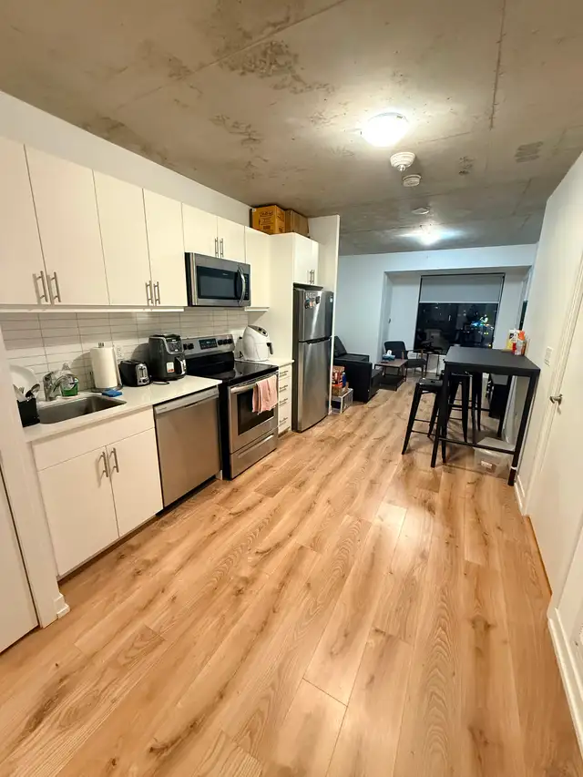 Beautiful Room for Rent near Queens University - Photo 3