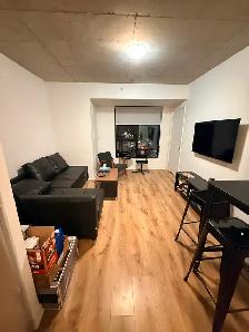 Beautiful Room for Rent near Queens University - Photo 4