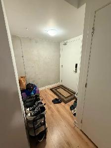 Beautiful Room for Rent near Queens University - Photo 5