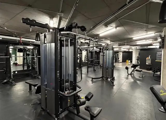 Beautiful Room for Rent near Queens University - Photo 6