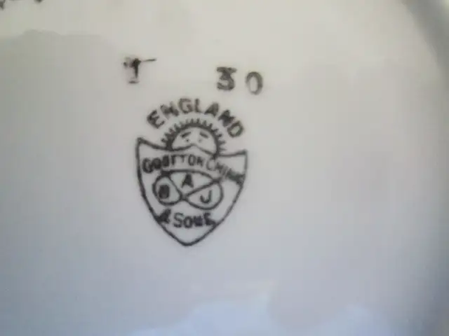 B.A.J. Grafton & Sons BLUE NILE china tea set for 8 - Photo 3