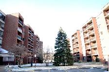 7777 Boulevard LaSalle - Photo 2