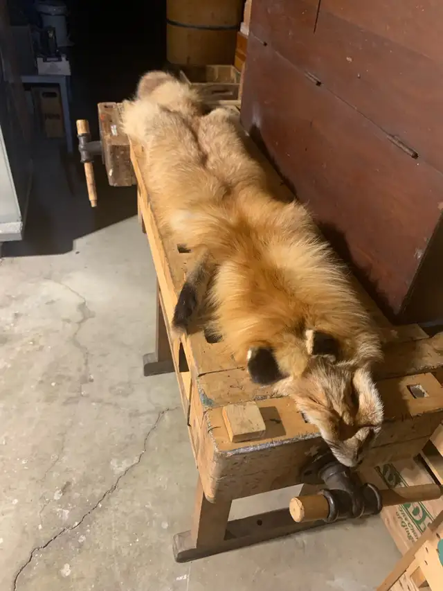 kool stuff in Fairview - Photo 7