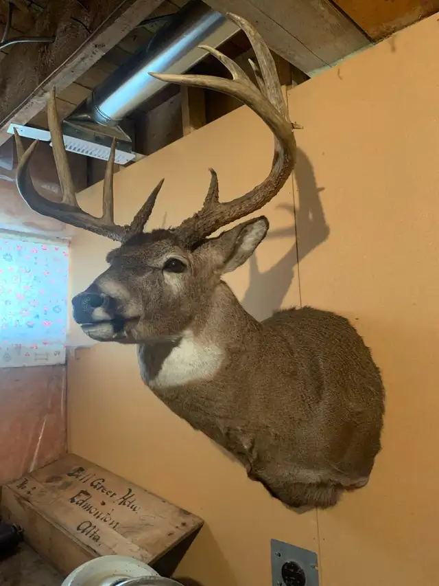 kool stuff in Fairview - Photo 8