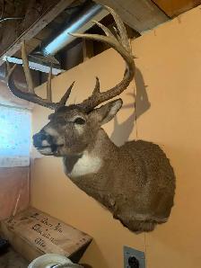 kool stuff in Fairview - Photo 8