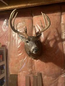 kool stuff in Fairview - Photo 9