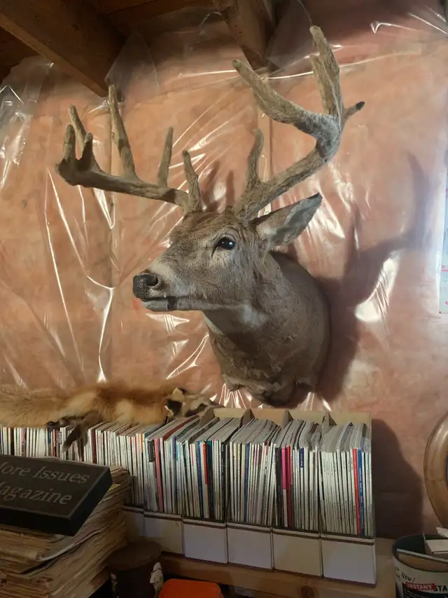 kool stuff in Fairview - Photo 10