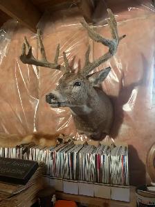 kool stuff in Fairview - Photo 10