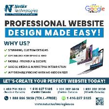 Professional Website Design