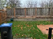 Spacious bedroom available from  May 1st . - Photo 8