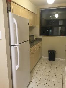 Large Furnished Room in a Two Bedroom Suite Downtown Toronto - Photo 5