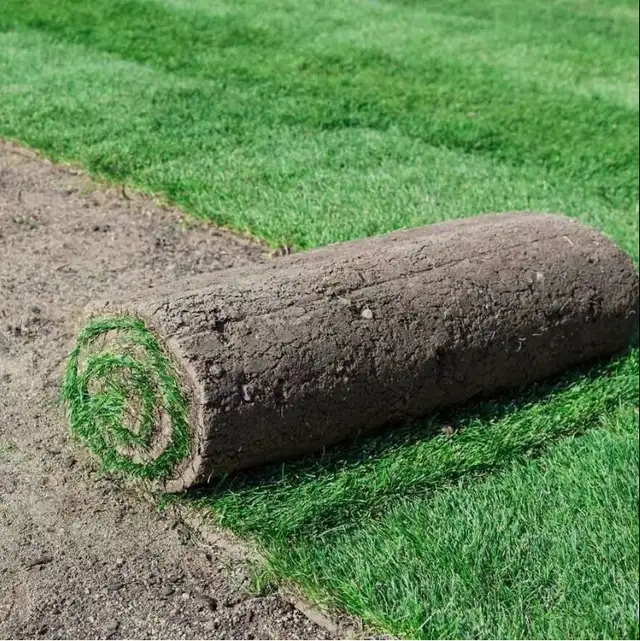 Sod installation