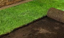 Sod installation - Photo 2