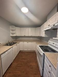 Brier Rose - Large One Bedroom Apartment for Rent
