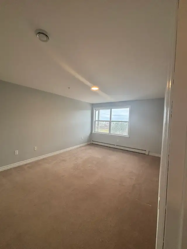 Brier Rose - Large One Bedroom Apartment for Rent - Photo 10