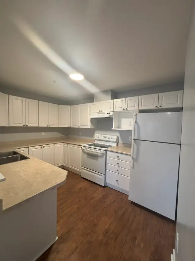 Brier Rose - Large One Bedroom Apartment for Rent - Photo 13