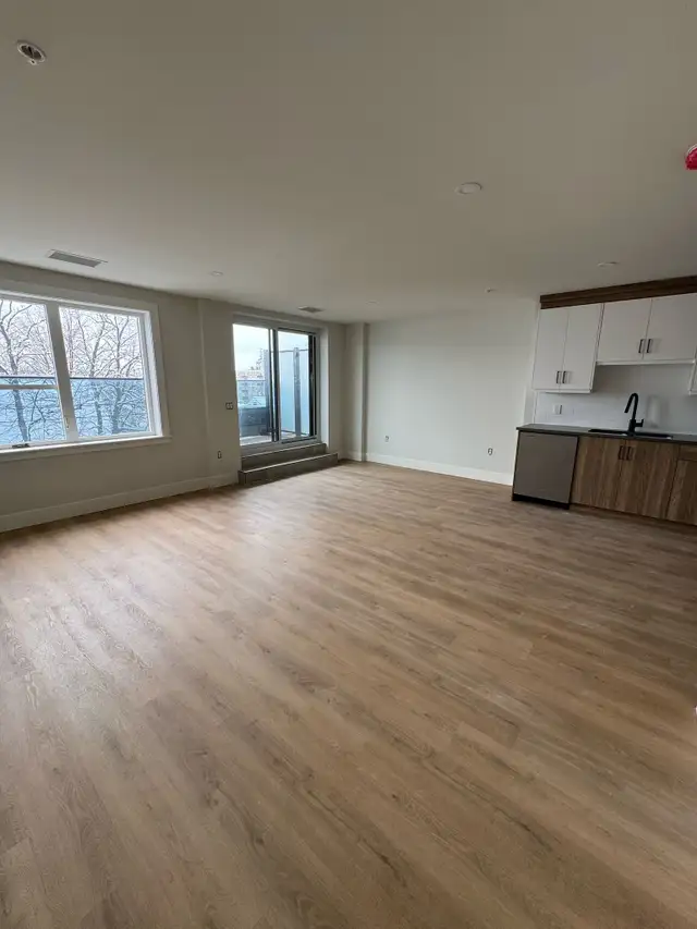Modern One Bedroom in the Heart of Halifax - Photo 4
