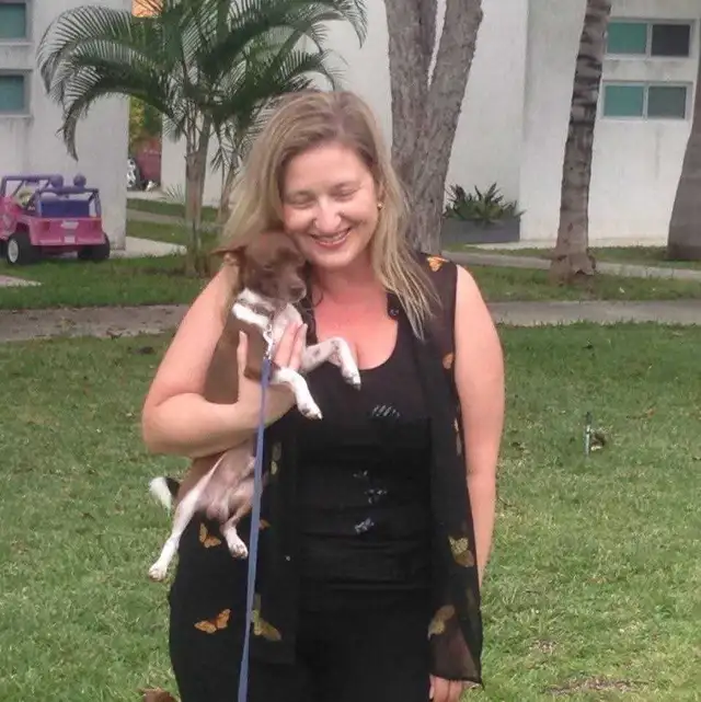 EXPERIENCED DOG BOARDING AVAILABLE/DOG DAYCARE/DOG TRAINING - Photo 3