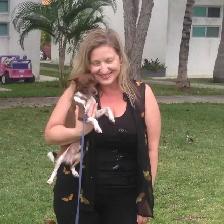 EXPERIENCED DOG BOARDING AVAILABLE/DOG DAYCARE/DOG TRAINING - Photo 3