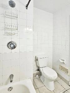 Semi-Detached Home/4  1 Bdrm/Finished Basement/Rent/Ottawa - Photo 11