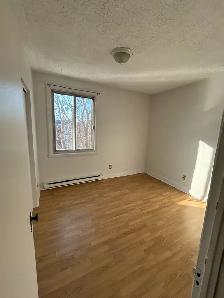 4 ½ lumineux - Photo 3